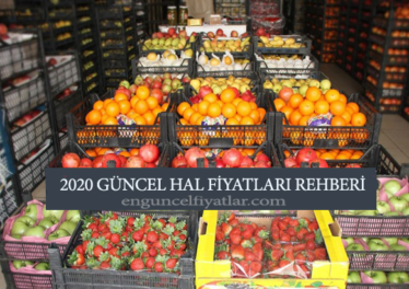İstanbul Hal Fiyatları 2020