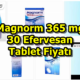 Magnorm 365 mg 30 Efervesan Tablet Fiyatı